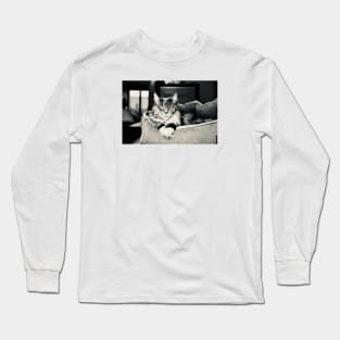 Cat main coon black and white / Swiss Artwork Photography Long Sleeve T-Shirt